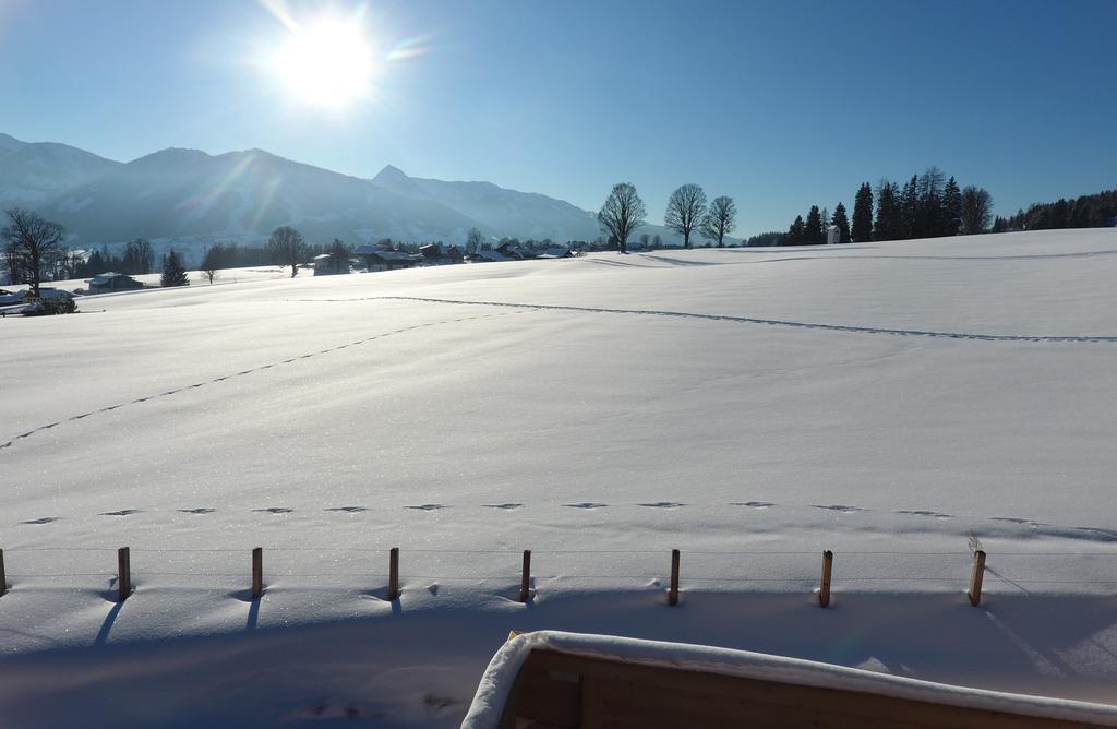 Chalet Findeisen Ramsau am Dachstein Buitenkant foto